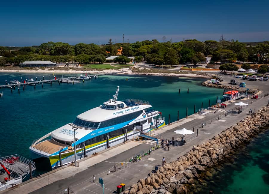 From Perth: Rottnest Island Full-Day Bike and Ferry Trip - Key points to know before booking