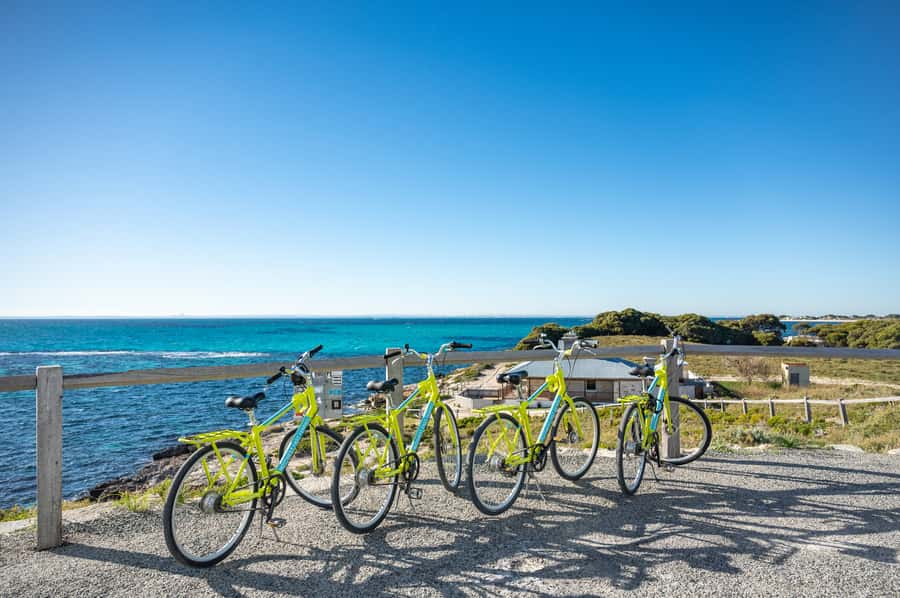 From Perth: Rottnest Island Full-Day Bike and Ferry Trip - How much value do you get for $84?