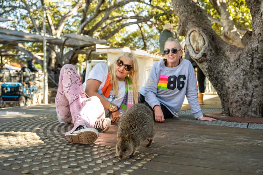 From Perth: Rottnest Island Full-Day Bike and Ferry Trip - Booking, timing, and small practical details