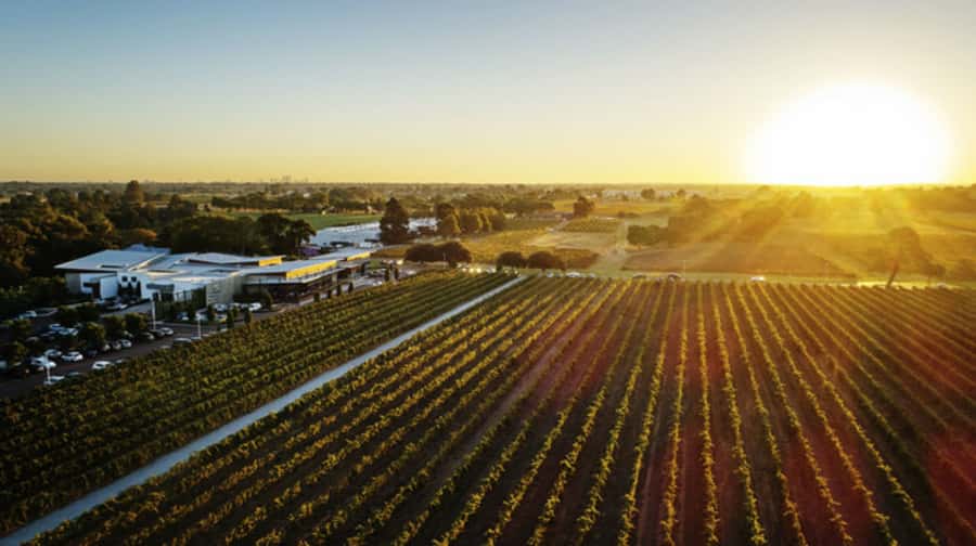 From Perth: Swan Valley Cruise, Winery, Cheese & Lunch - Leaving Perth on the Swan River