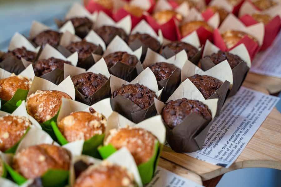 From Perth: Swan Valley Cruise, Winery, Cheese & Lunch - The return cruise changes the mood