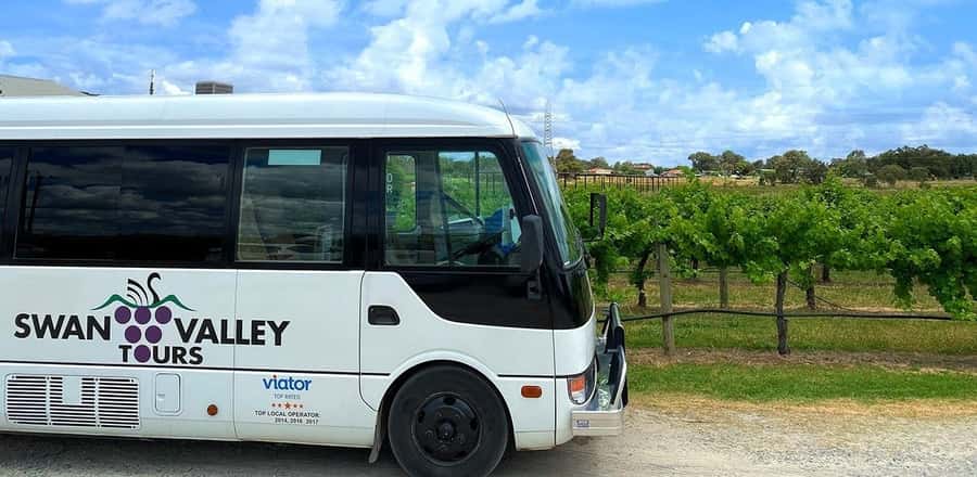 From Perth: Swan Valley Winery & Brewery Day Tour With Lunch - The coach pickup and small-group setup