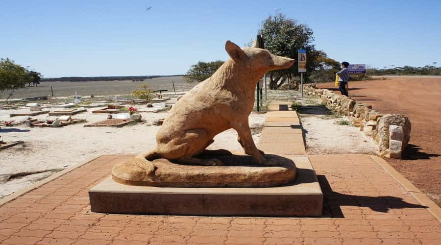 From Perth: Wave Rock, York and Aboriginal Cultural Tour - Perth to York, the first taste of country Australia