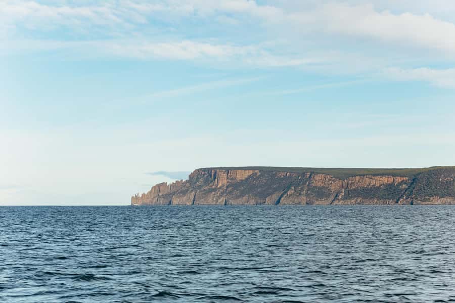 From Port Arthur: Tasman Island Wilderness Cruise - Practical value at $127 per person