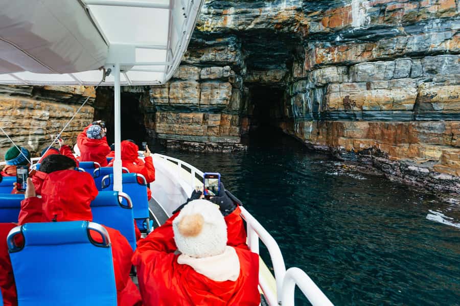 From Port Arthur: Tasman Island Wilderness Cruise - Why this cruise is such a good Port Arthur companion