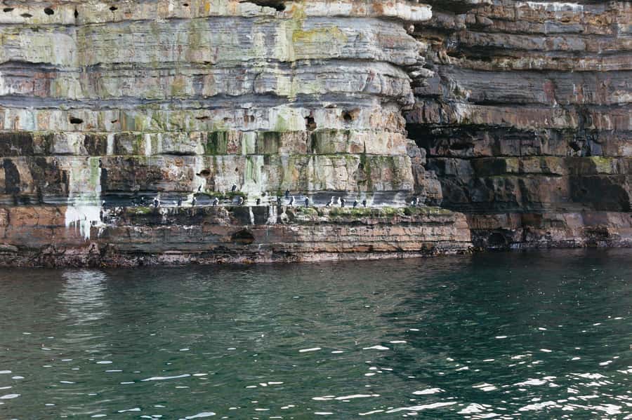 From Port Arthur: Tasman Island Wilderness Cruise - Cape Pillar and the highest sea cliffs