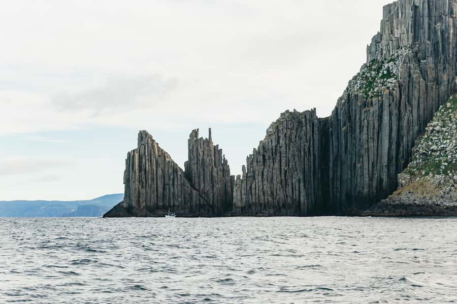 From Port Arthur: Tasman Island Wilderness Cruise - Caves, arches, waterfalls, and blowholes