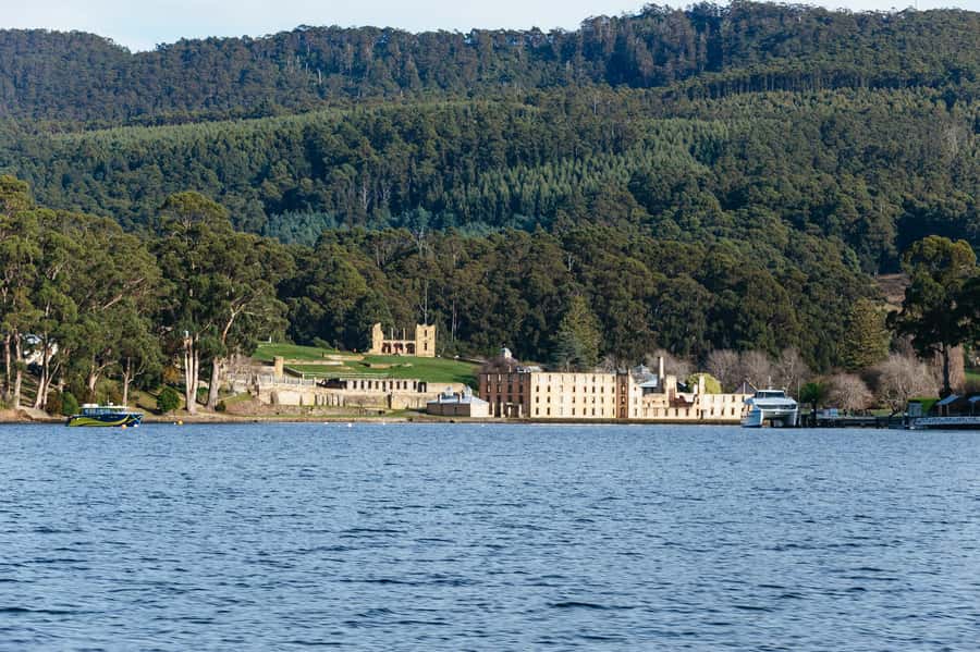 From Port Arthur: Tasman Island Wilderness Cruise - Seals, dolphins, seabirds, and migrating whales