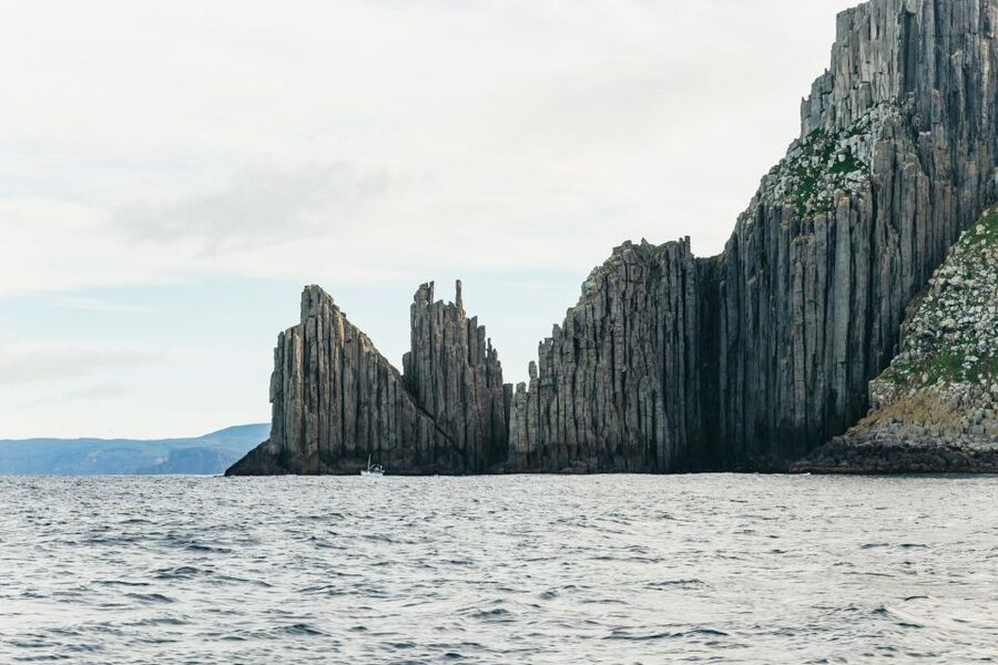 From Port Arthur: Tasman Island Wilderness Cruise - Who will enjoy this Tasman Island cruise?