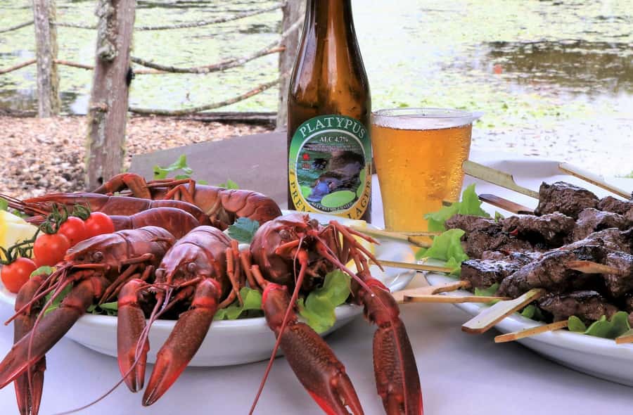 From Port Douglas: Atherton Tablelands Adventure - Practical details that affect your choice