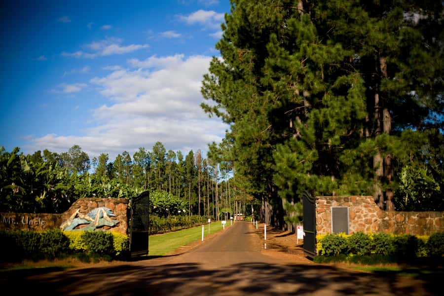 From Port Douglas: Atherton Tablelands Adventure - Sweetwater Lodge closes the day quietly