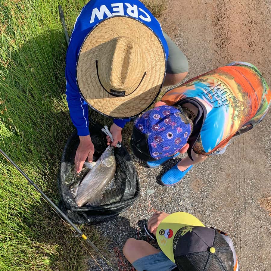 From Port Douglas: Barramundi Pond Fishing with Lunch - Key Points Before You Book