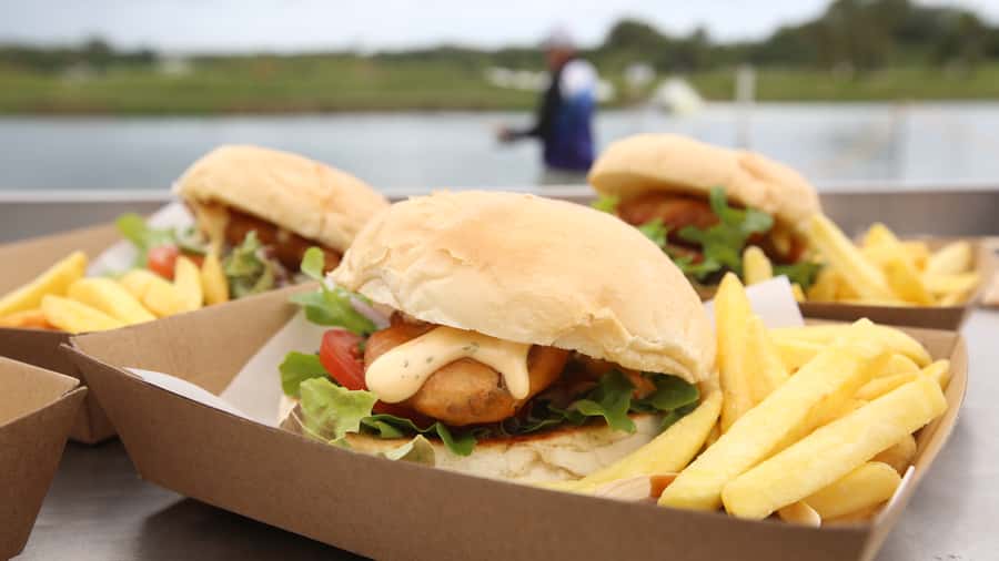 From Port Douglas: Barramundi Pond Fishing with Lunch - The Farm Tour and Unusual Barramundi