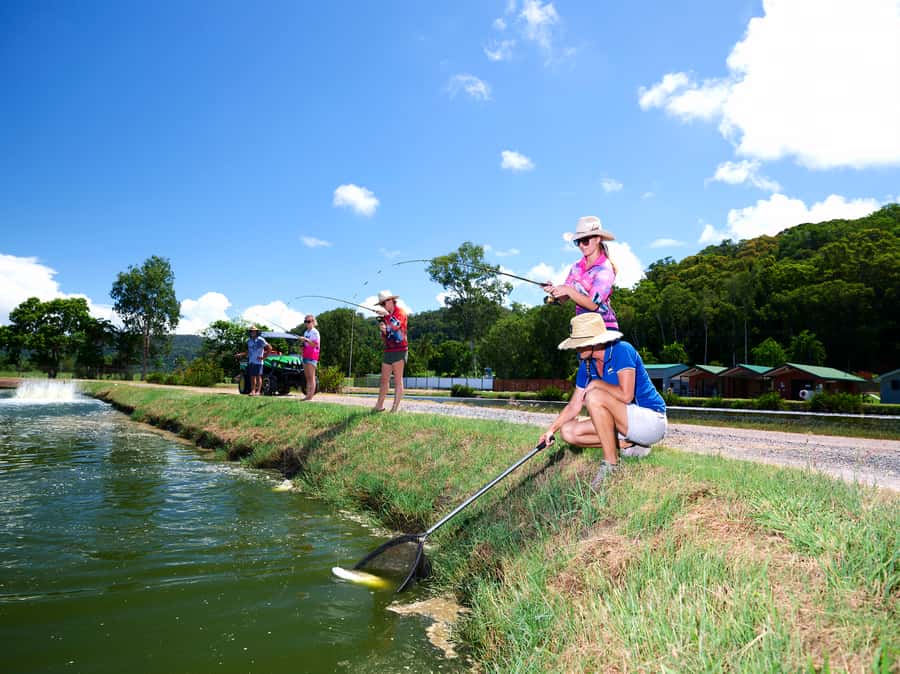 From Port Douglas: Barramundi Pond Fishing with Lunch - Is $109 Good Value?