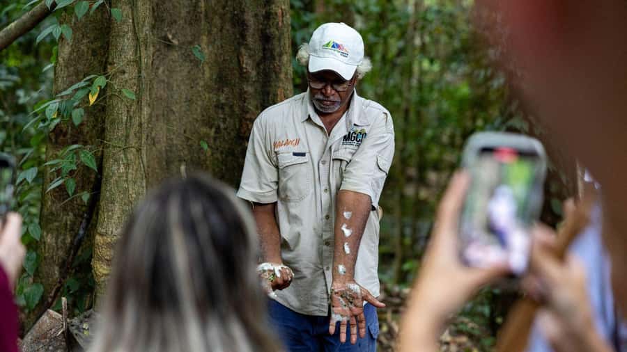 From Port Douglas: Daintree Rainforest & Mossman Gorge Tour - The one-hour Daintree River wildlife cruise