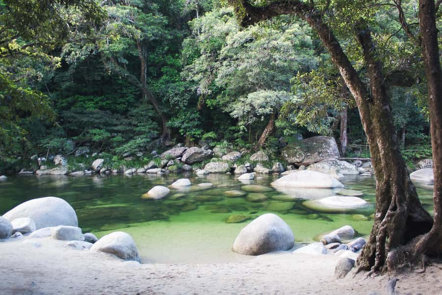 From Port Douglas: Daintree Rainforest & Mossman Gorge Tour - Is $145 good value?