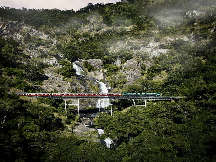 From Port Douglas: Kuranda Tour with Skyrail & Scenic Train - Palm Cove gives the day a soft landing