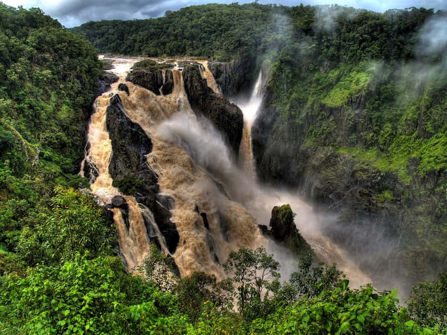 From Port Douglas: Kuranda via Scenic Rail or Skyrail Option - Who should book this experience