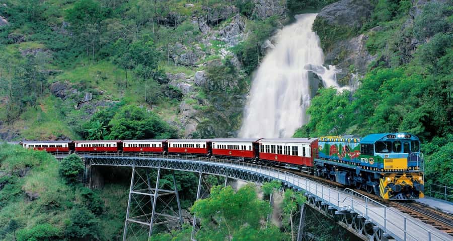 From Port Douglas: Kuranda via Scenic Rail or Skyrail Option - Why this Port Douglas day trip works