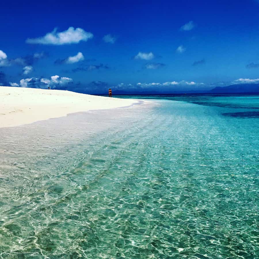 From Port Douglas: Outer Reef Cruise by Luxury Catamaran - How the small-group catamaran changes the day