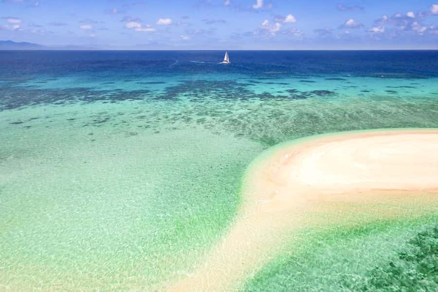 From Port Douglas: Outer Reef Cruise by Luxury Catamaran - A marine talk that helps you see more underwater
