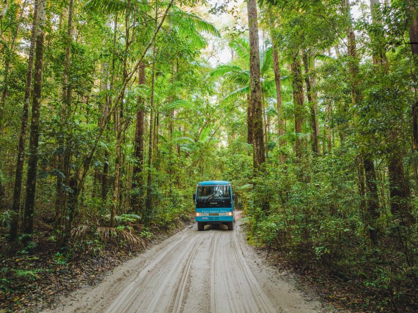 From Rainbow Beach: K'gari Fraser Island Full-Day Coach Tour - 75 Mile Beach and the Maheno Shipwreck
