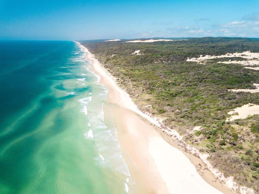From Rainbow Beach: K'gari Fraser Island Full-Day Coach Tour - Eli Creek: clear water and a gentler kind of fun