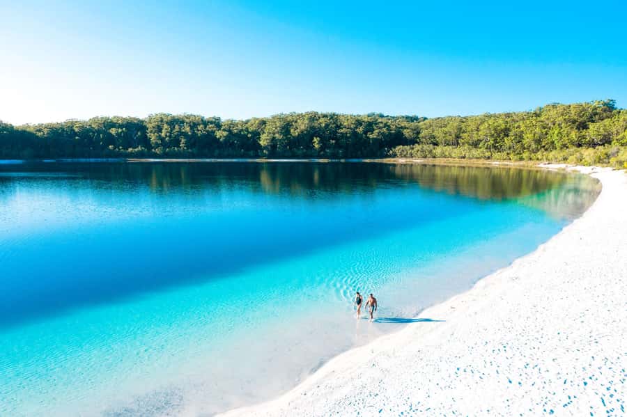 From Rainbow Beach: K'gari Fraser Island Full-Day Coach Tour - K’gari Beach Resort lunch and the practical break