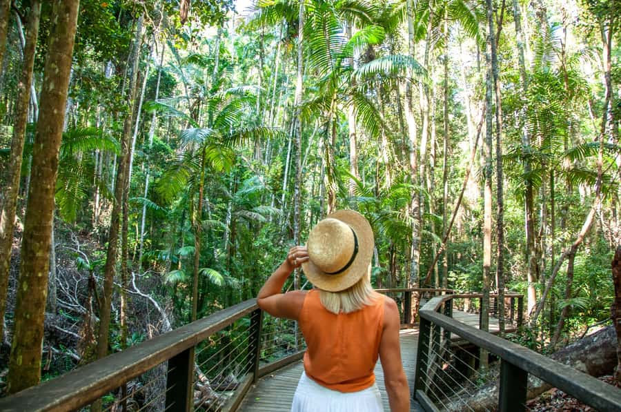From Rainbow Beach: K'gari Fraser Island Full-Day Coach Tour - What the $184 price really covers