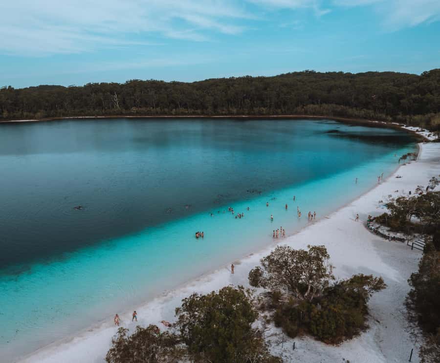 From Rainbow Beach: K'gari (Fraser Island) Full-Day Tour - Key points before you book