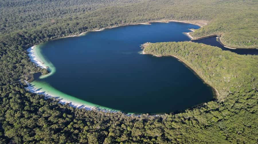 From Rainbow Beach: K'gari (Fraser Island) Full-Day Tour - The SS Maheno shipwreck and its unusual past