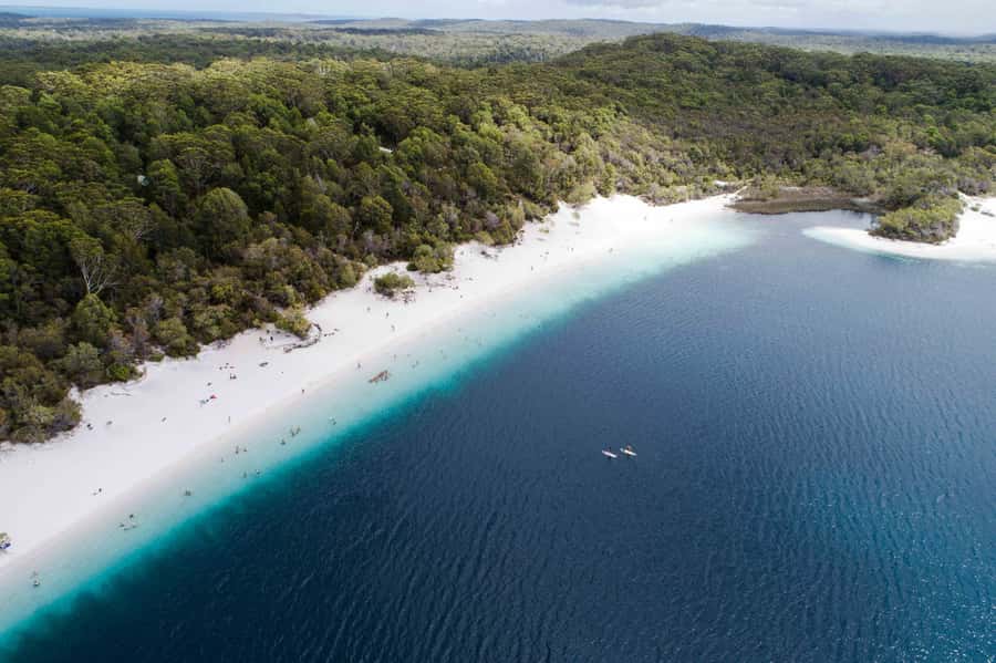 From Rainbow Beach: K'gari, Fraser Island Two-Day Coach Tour - Lake McKenzie: K’gari’s essential swim