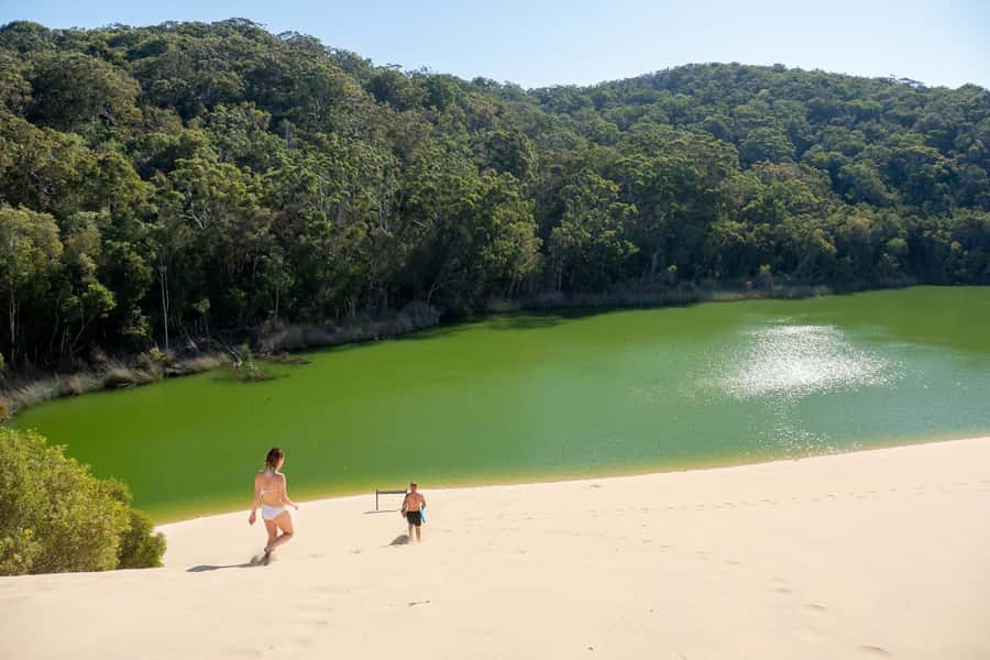 From Rainbow Beach: K'gari, Fraser Island Two-Day Coach Tour - Eli Creek and the Maheno Shipwreck