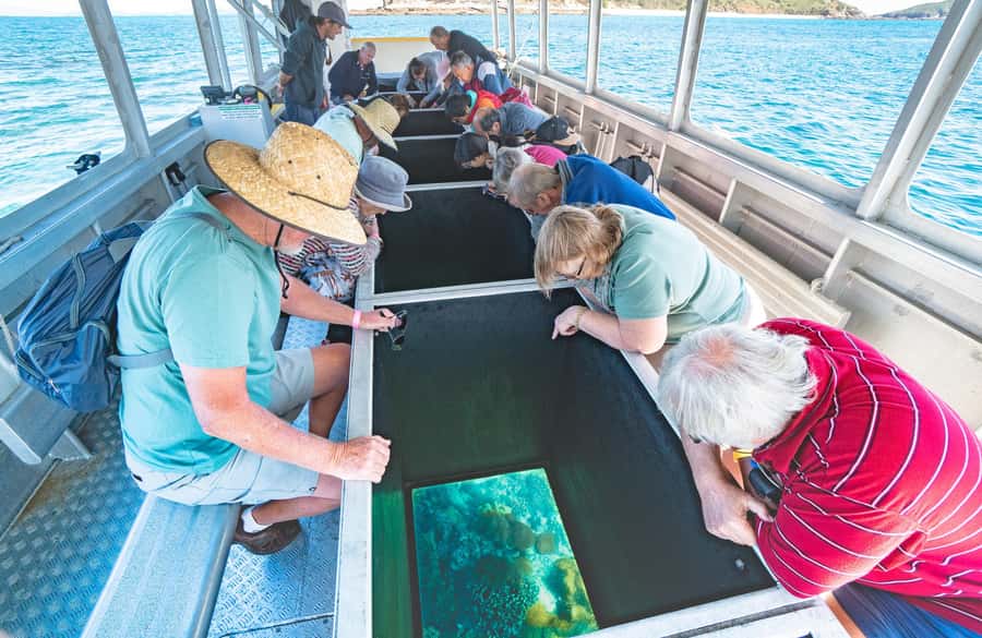 From Rosslyn: Great Keppel Island Adventure Tour with Lunch - Seeing the reef through the glass-bottom boat