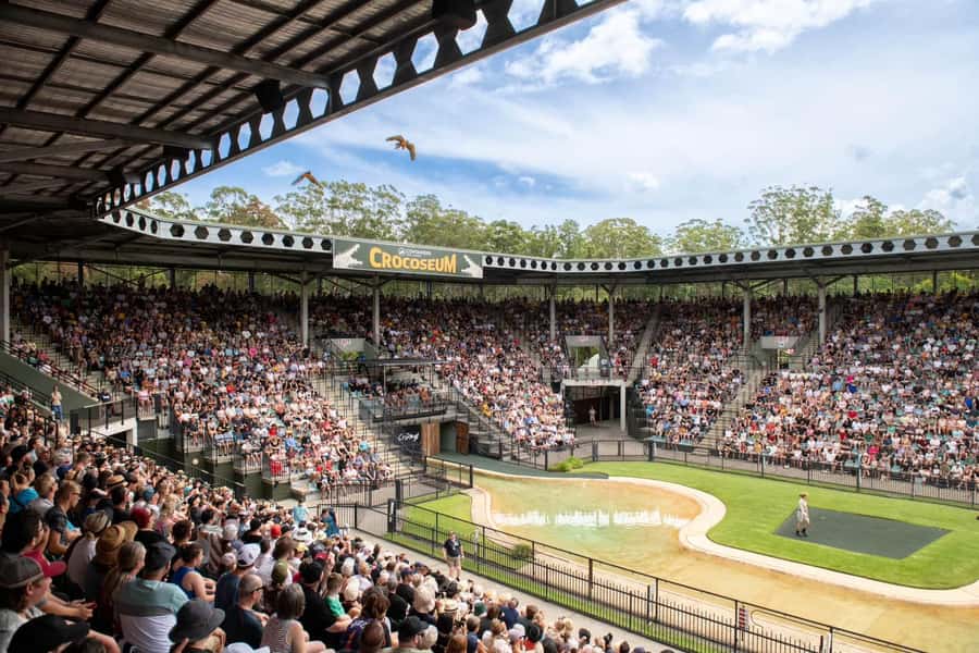 From Sunshine Coast: Australia Zoo Entry Ticket and Transfer - Six hours inside a very large zoo