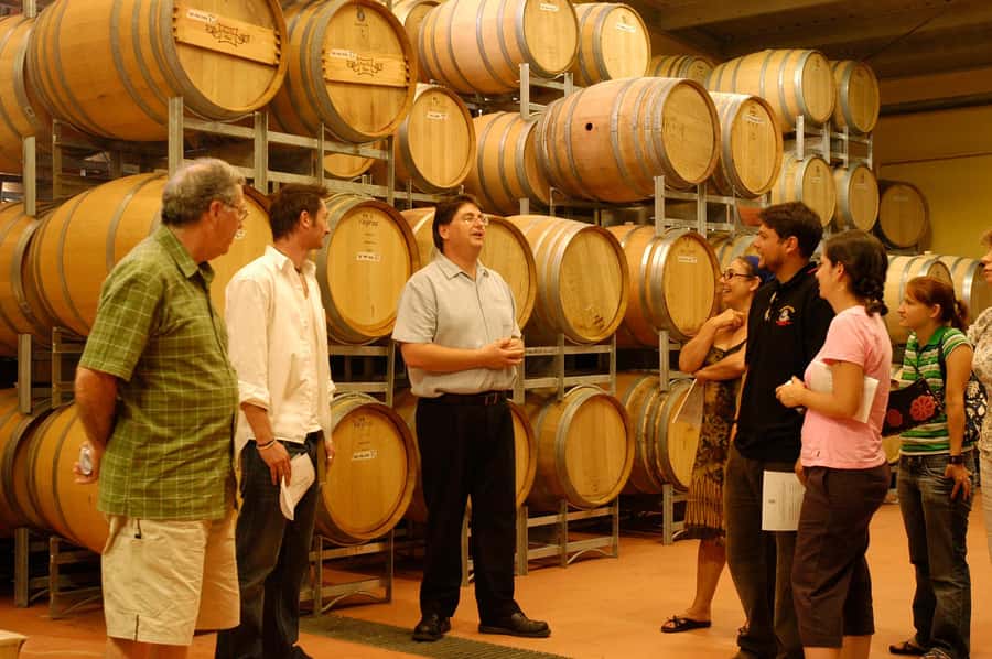 From Sydney: All Inclusive Boutique Hunter Valley Wine Tour - The second tasting: where expectations need balance