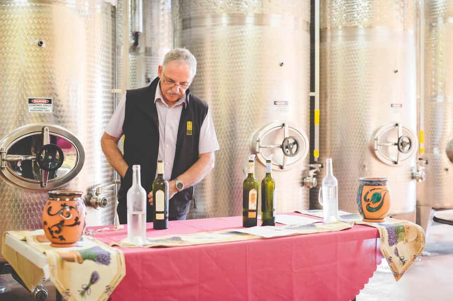 From Sydney: Award-Winning Hunter Valley Wine & Cheese Tour - Five things to know before booking