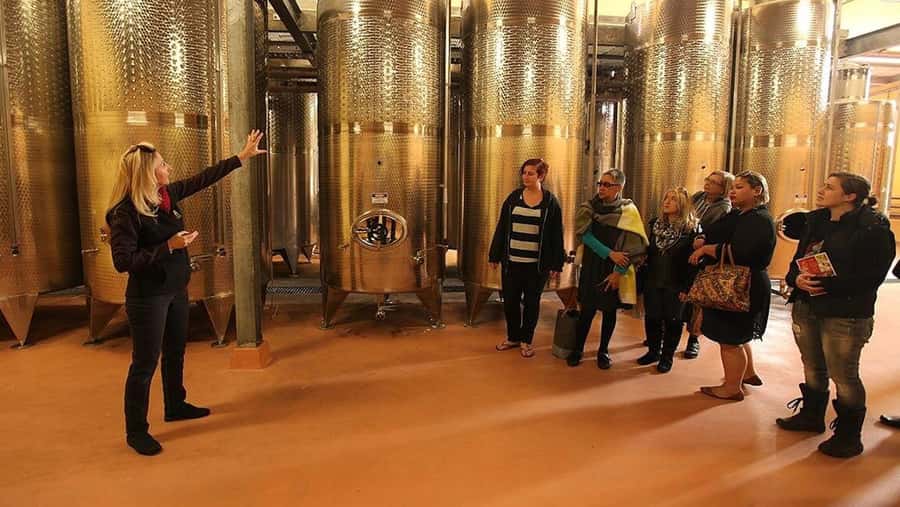 From Sydney: Award-Winning Hunter Valley Wine & Cheese Tour - Leaving Sydney early for Hunter Valley