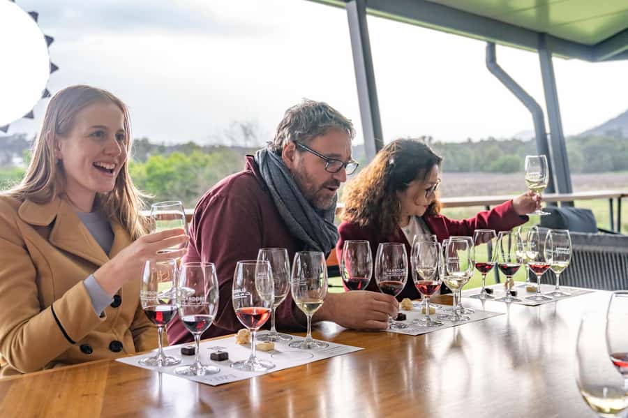 From Sydney: Award-Winning Hunter Valley Wine & Cheese Tour - A lakeside lunch in Pokolbin