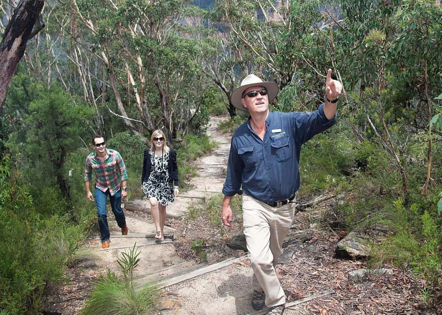 From Sydney: Blue Mountains Bushwalks & Featherdale Tour - Sydney pickup and the road west
