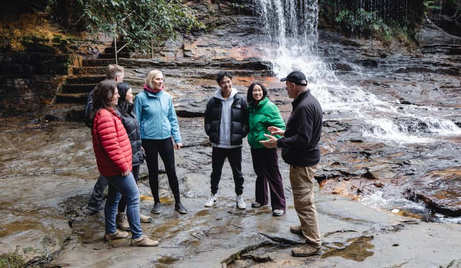 From Sydney: Blue Mountains Bushwalks & Featherdale Tour - What $133 gets you