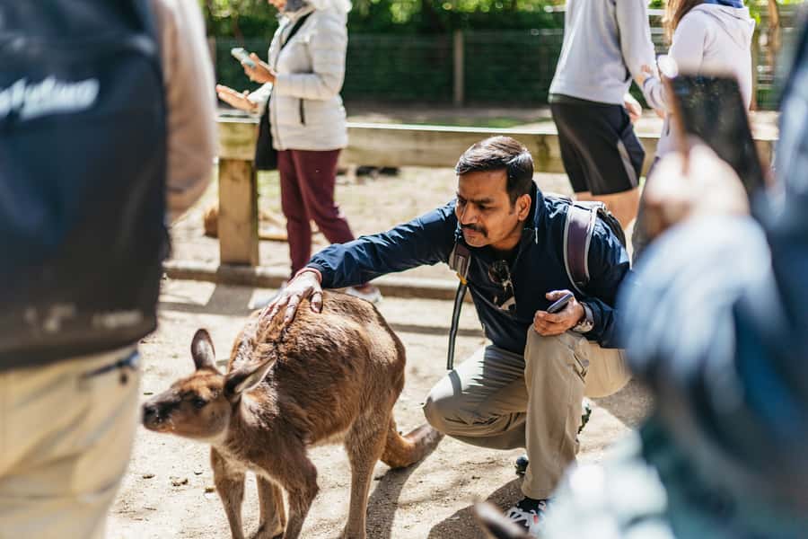 From Sydney: Blue Mountains Full-Day Trip - Who should book this tour?