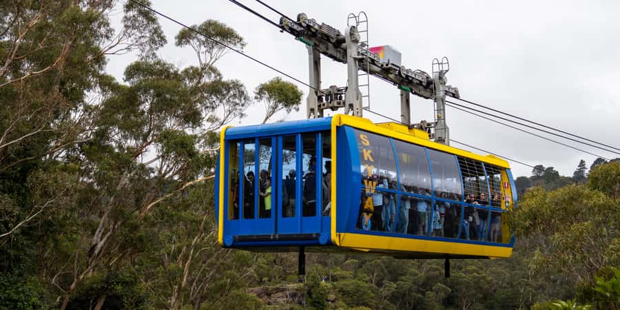 From Sydney: Blue Mountains, Scenic Railway, & Sydney Zoo - Sydney Zoo: kangaroos and a short cultural lesson