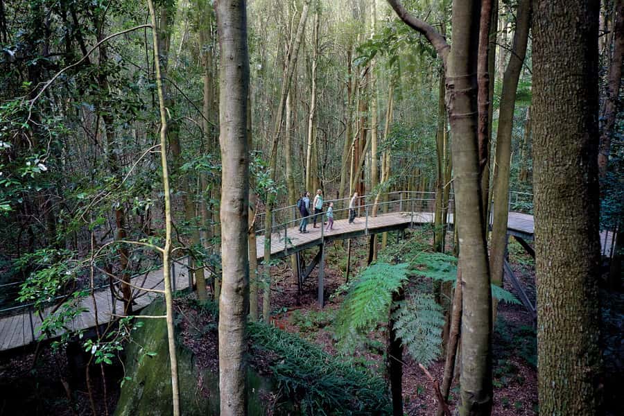 From Sydney: Blue Mountains, Scenic World, Zoo, & Ferry Ride - Early pickup from central Sydney