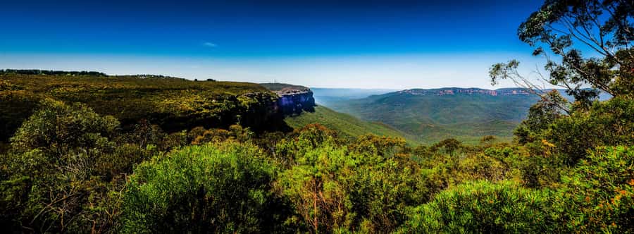 From Sydney: Blue Mountains Small-Group Tour Picnic & Hike - Jamison Valley and the climb into Katoomba