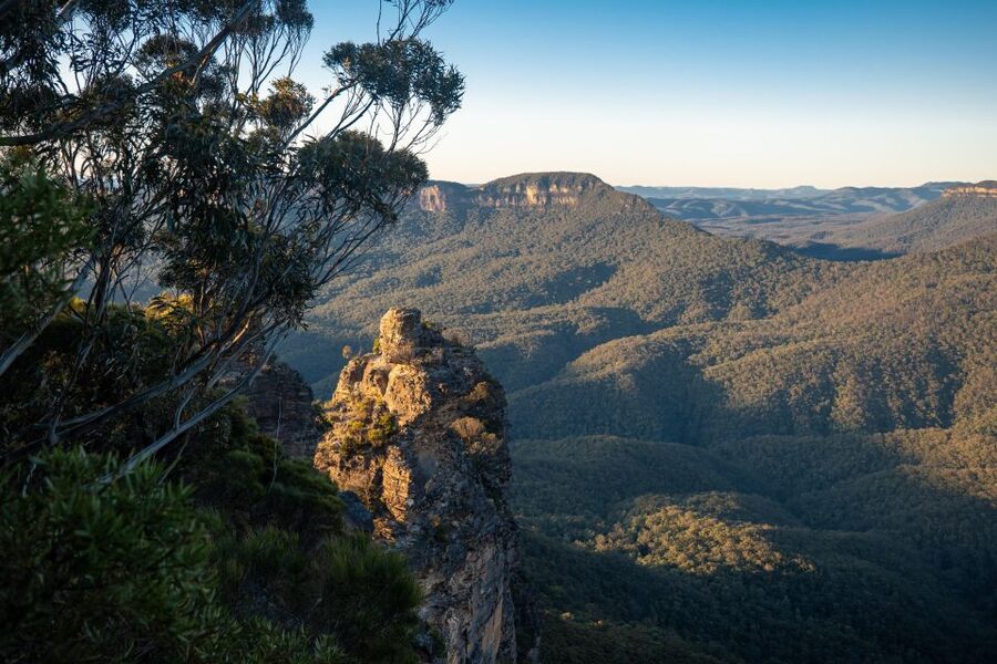 From Sydney: Blue Mountains, Sydney Zoo & Walking Tour - Returning by ferry keeps the final leg scenic