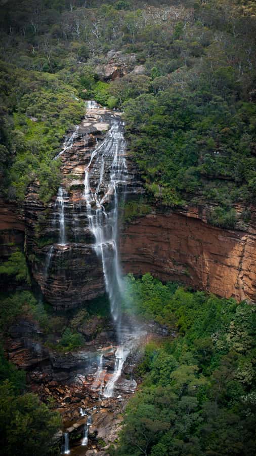From Sydney: Blue Mountains, Sydney Zoo & Walking Tour - Katoomba Falls turns the day into a walking tour