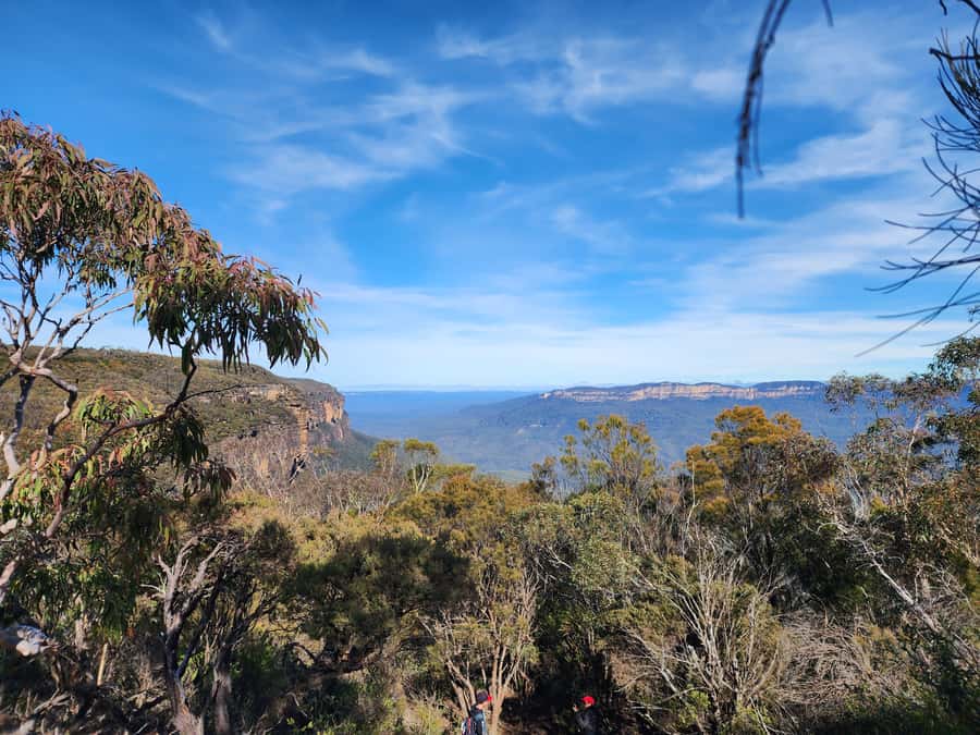 From Sydney: Blue Mountains Tour with Waterfall Walk & Lunch - Why this Sydney day trip works