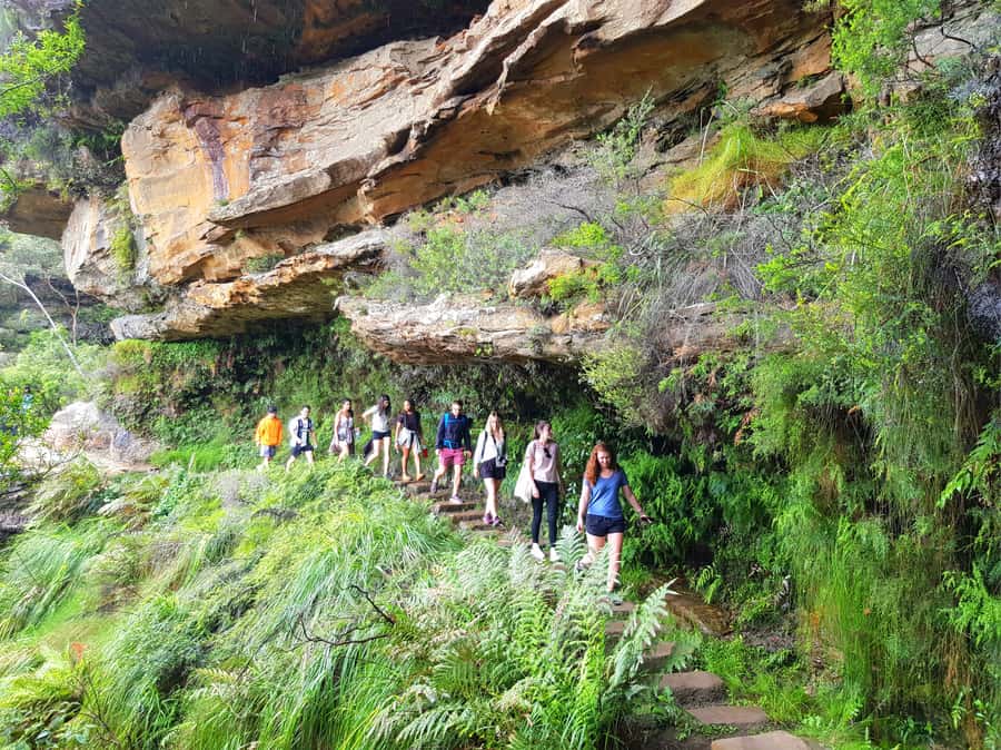 From Sydney: Blue Mountains Tour with Waterfall Walk & Lunch - The road west and the first mountain views