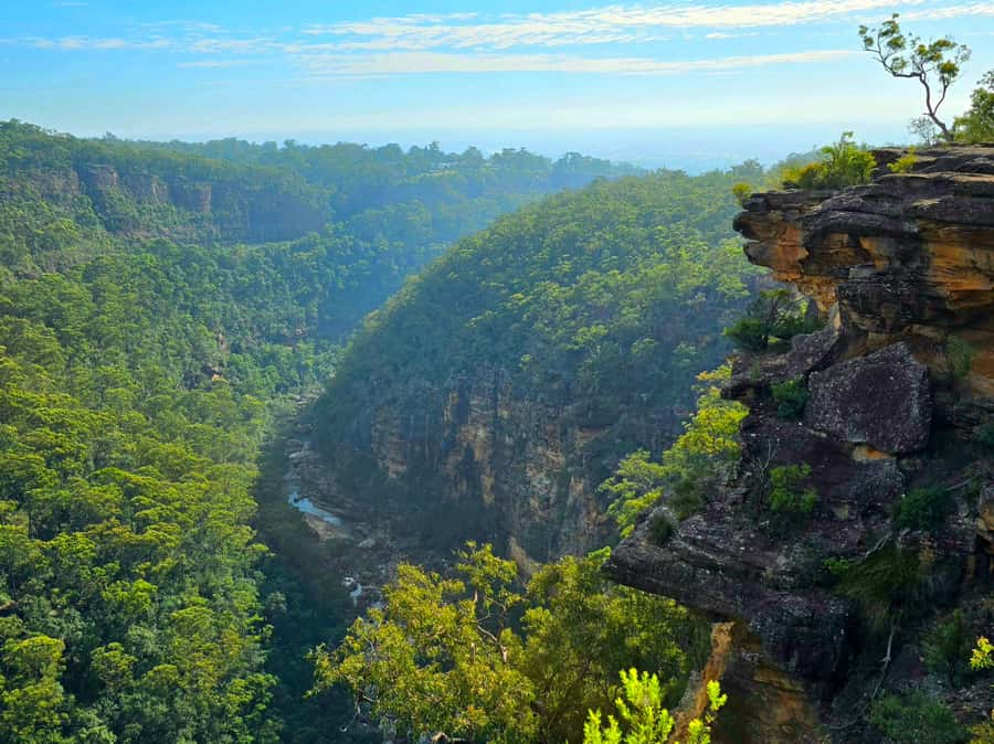 From Sydney: Blue Mountains Tour with Waterfall Walk & Lunch - The guides make the long day easier